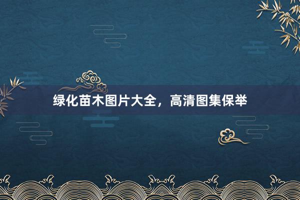 绿化苗木图片大全，高清图集保举